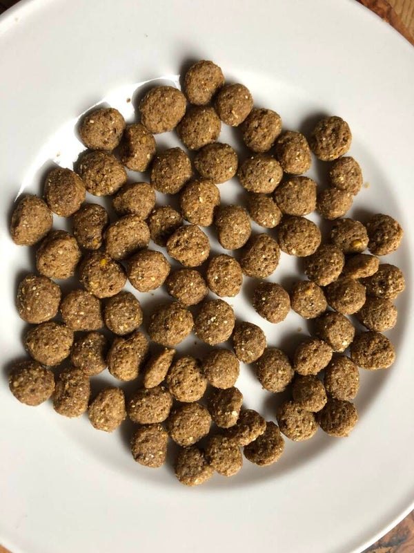 New Power Food Energy 20kg für nur 50,-€