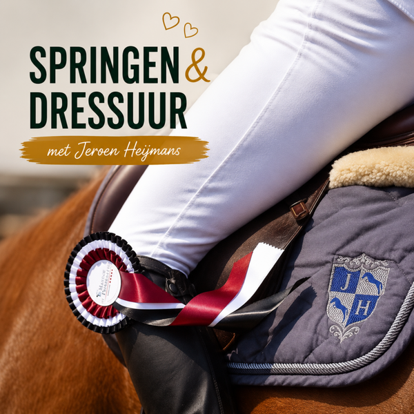 Dressuur met balkjes met Jeroen Heijmans