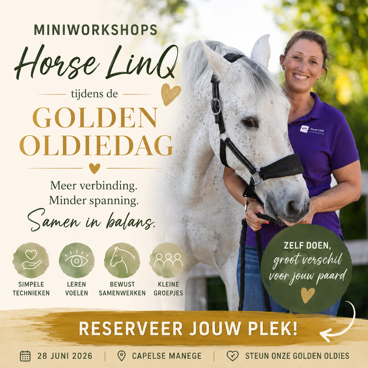 Miniworkshop paardenmassage