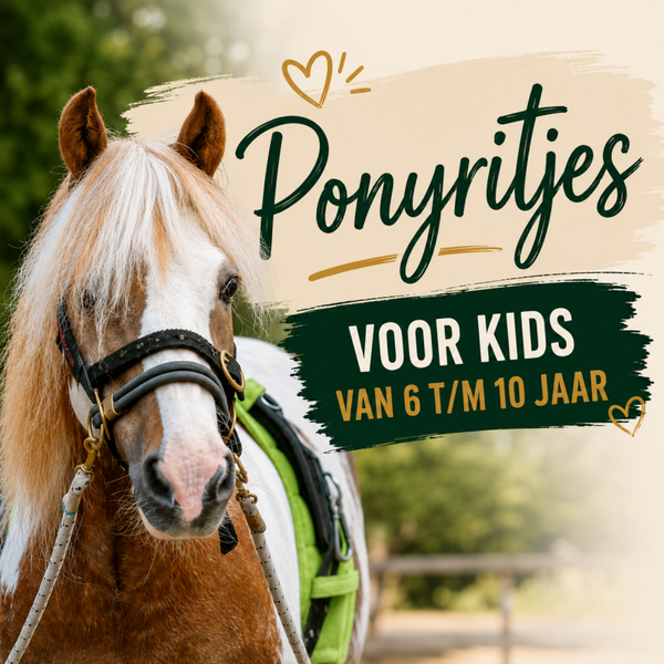 Ponyritje