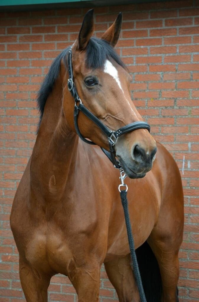 Tjatlin met pensioen