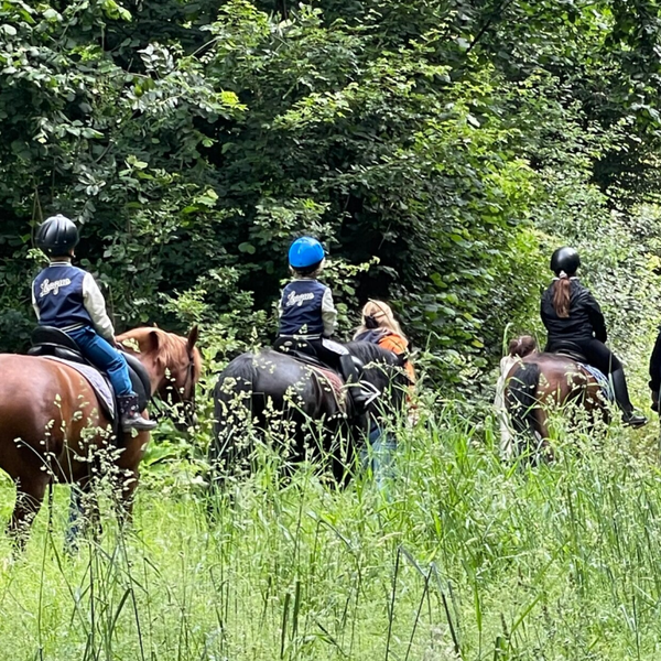 Ponyritje