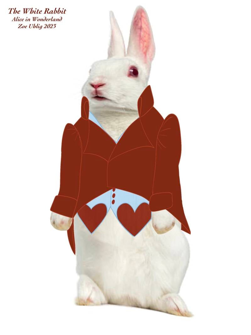 white-rabbit-standard.jpg
