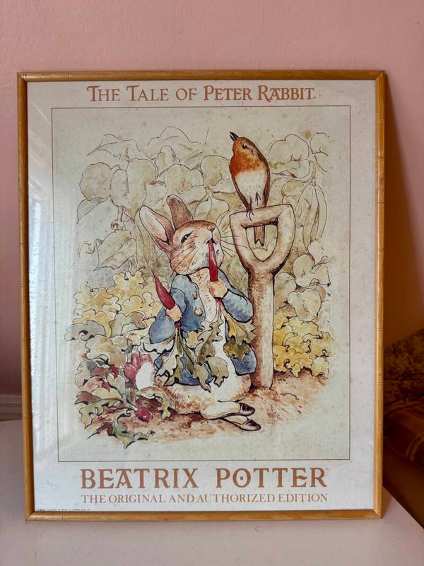 Vintage framed print Beatrix Potter The Tale Of Peter Rabbit 17 inch wide 21 inch tall
