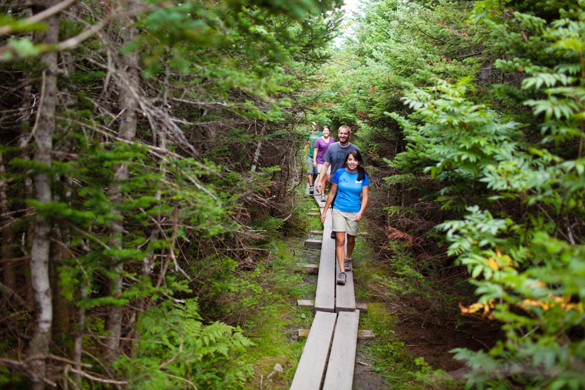 hiking_path_2000-11-standard-7om26r.jpg