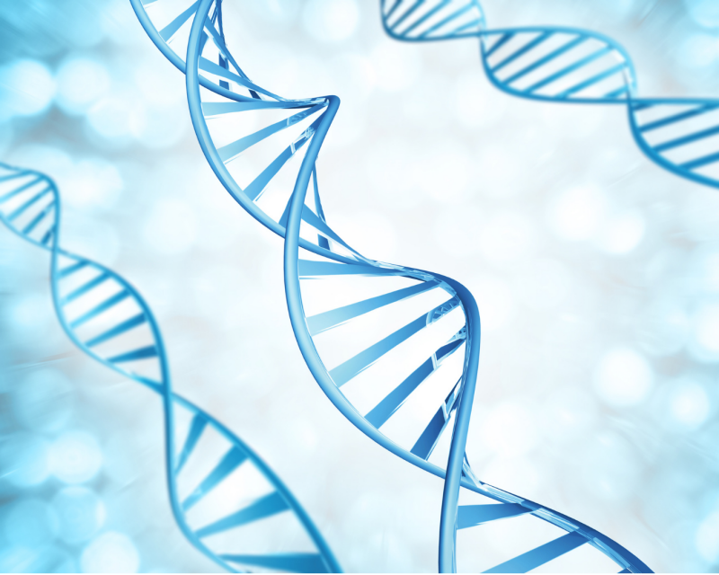 Genetische Faktoren und Veranlagung bei Psoriasis