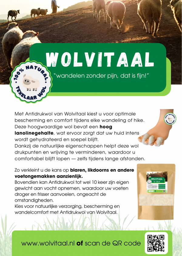 Flyers Wolvitaal 100 stuks