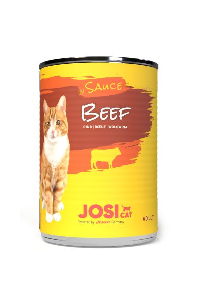 JosiCat Beef in Sauce