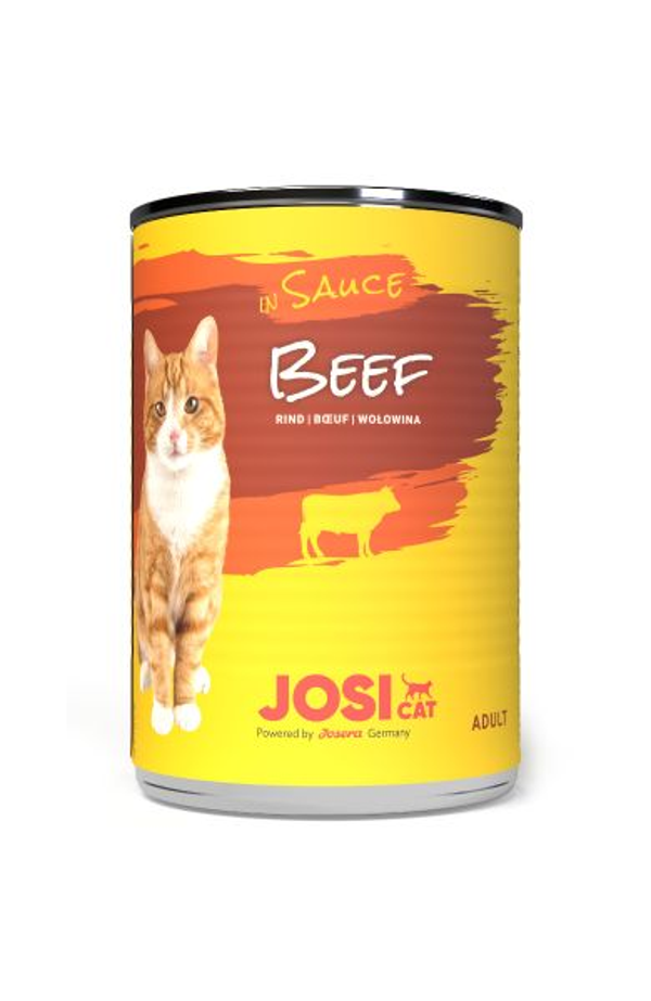 JosiCat Beef in Sauce