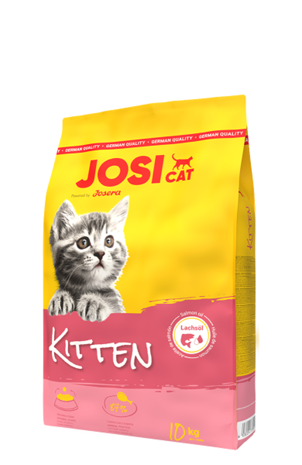 JosiCat Kitten
