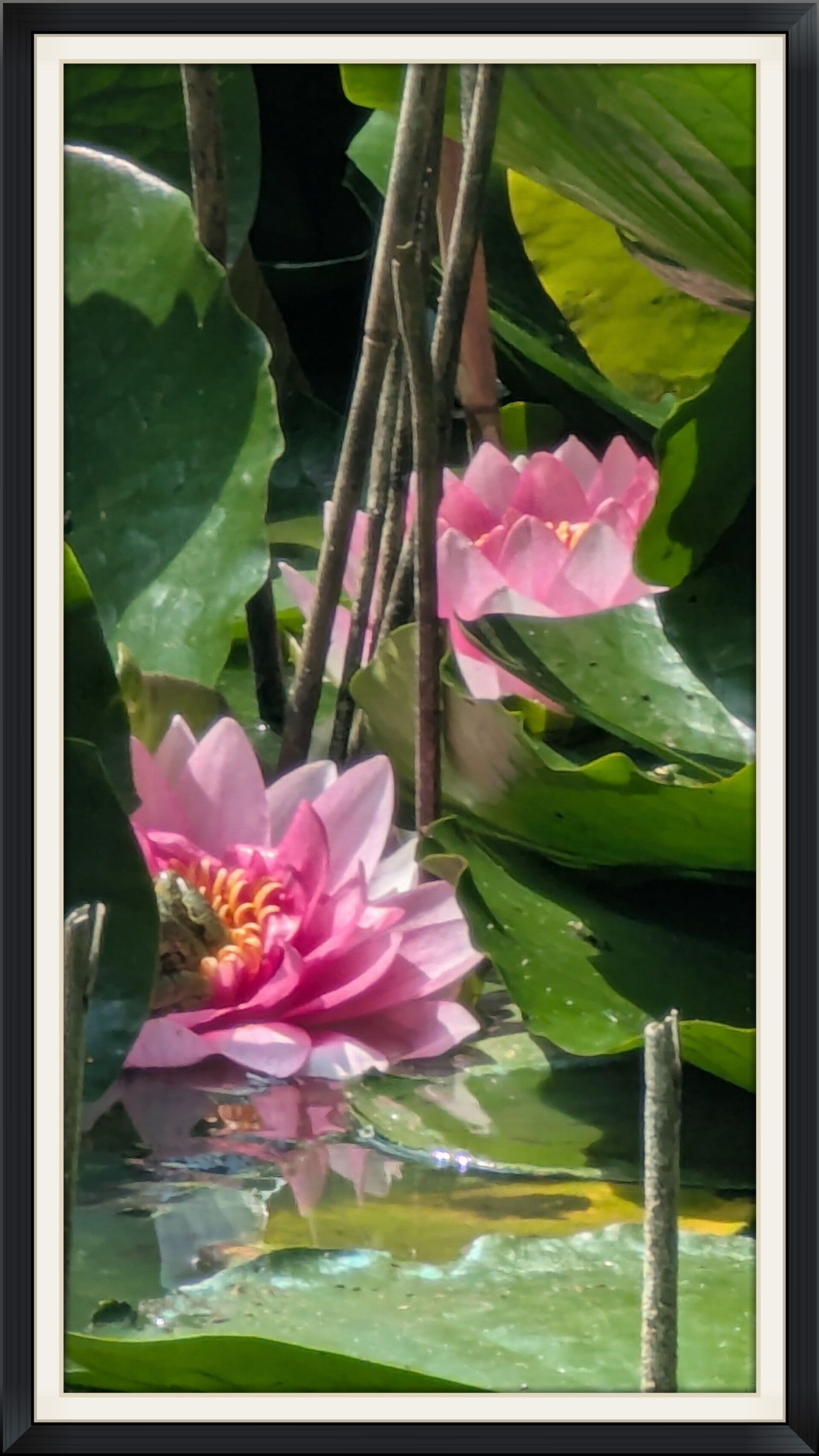 Skulpturenpfad in Schlitz Götzhausen 