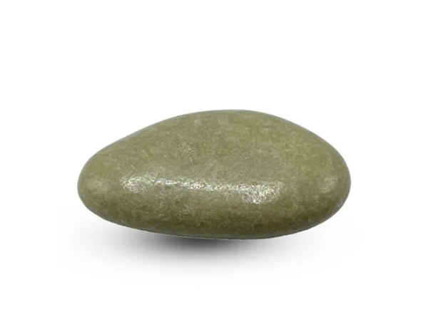 PC suikerbonen Olive light gelakt