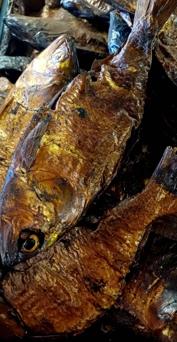 Bonga-Fish 3.Stück