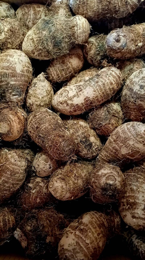 Fresh Cocoyam 1kg