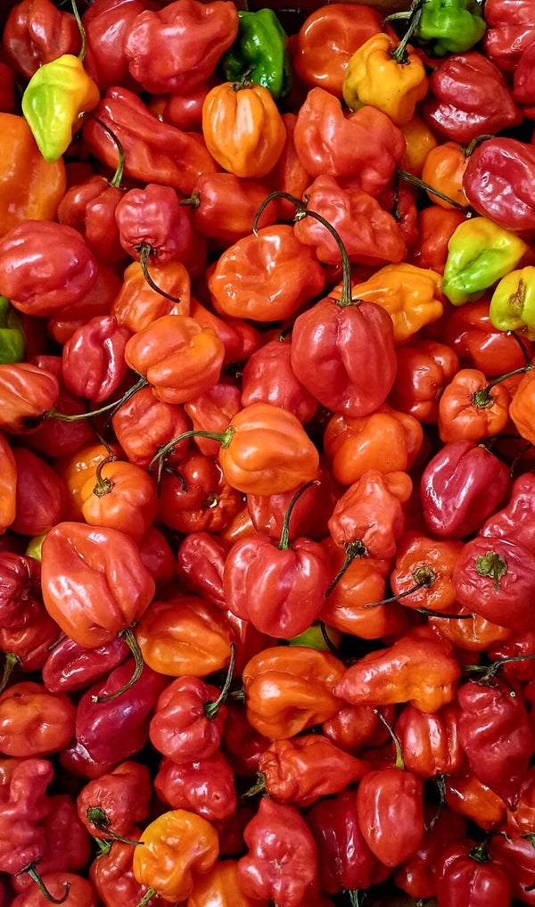 Hot Pepper 1kg