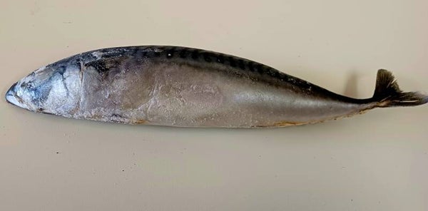Makrele 1kg