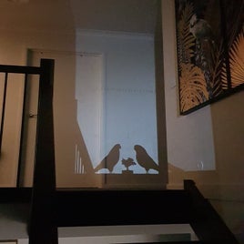 1000023042-standard.jpg