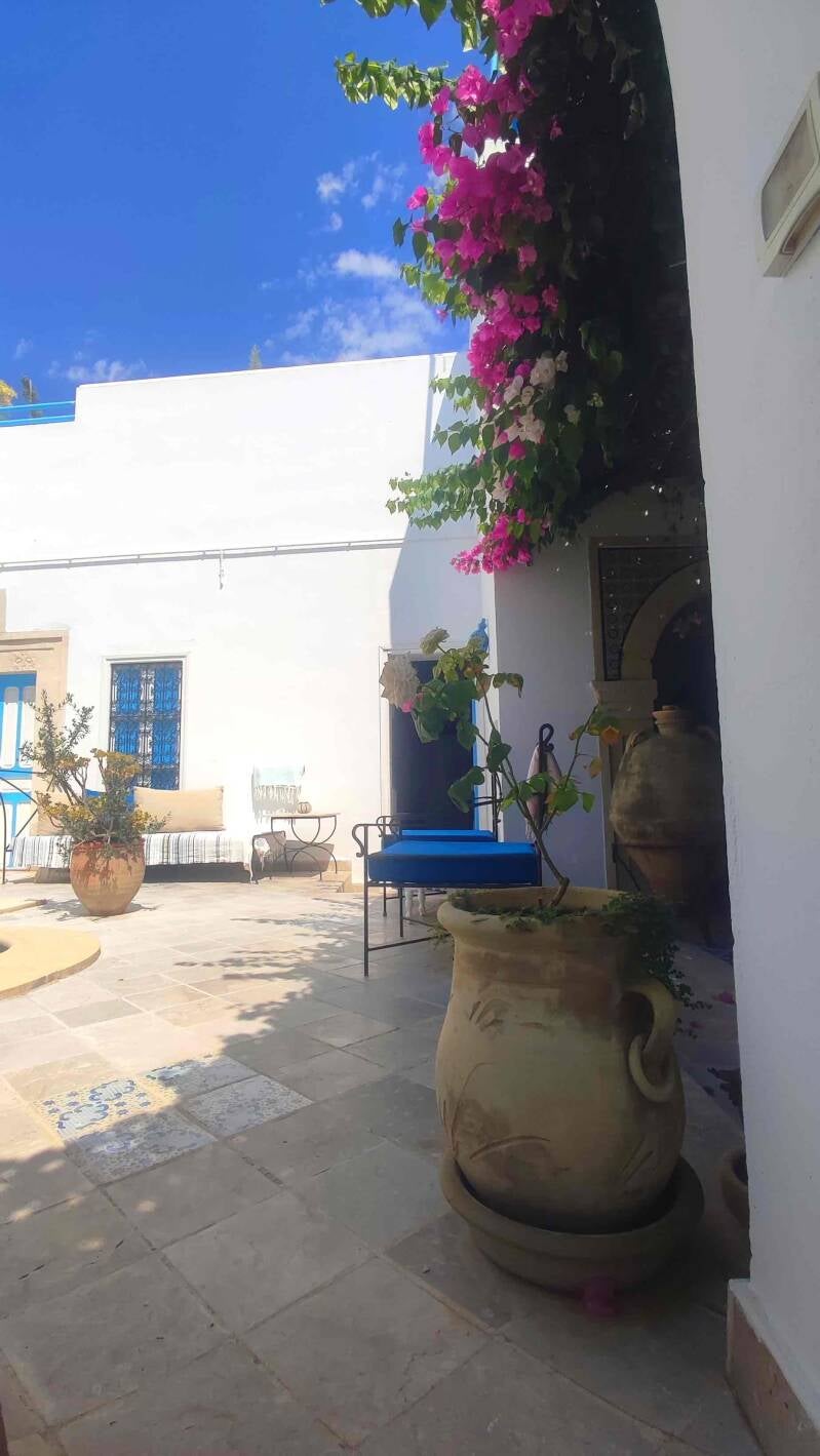 au calme debvant la îscine