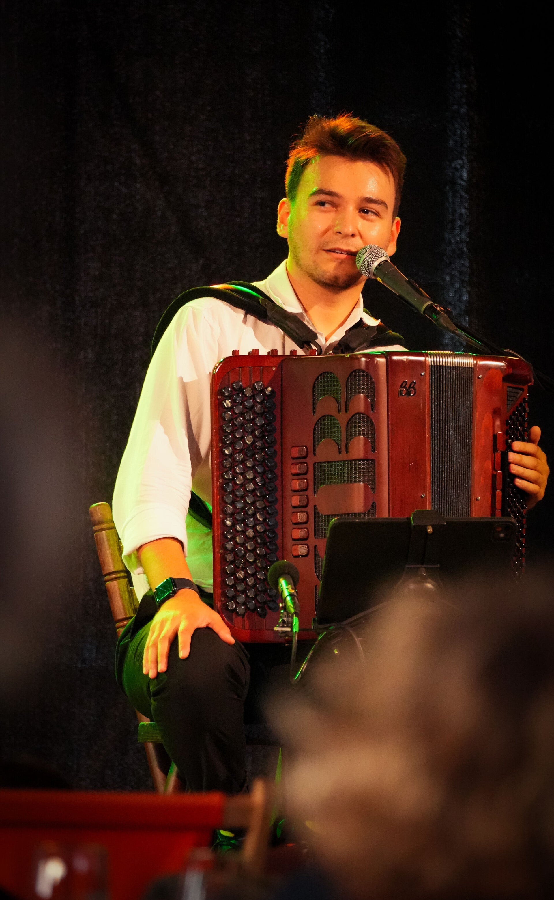concerten, optredens, volle zalen, viool, top-accordeonist, accorden, duo, live music, proffesioneel, goed optreden, vioolles, workshops