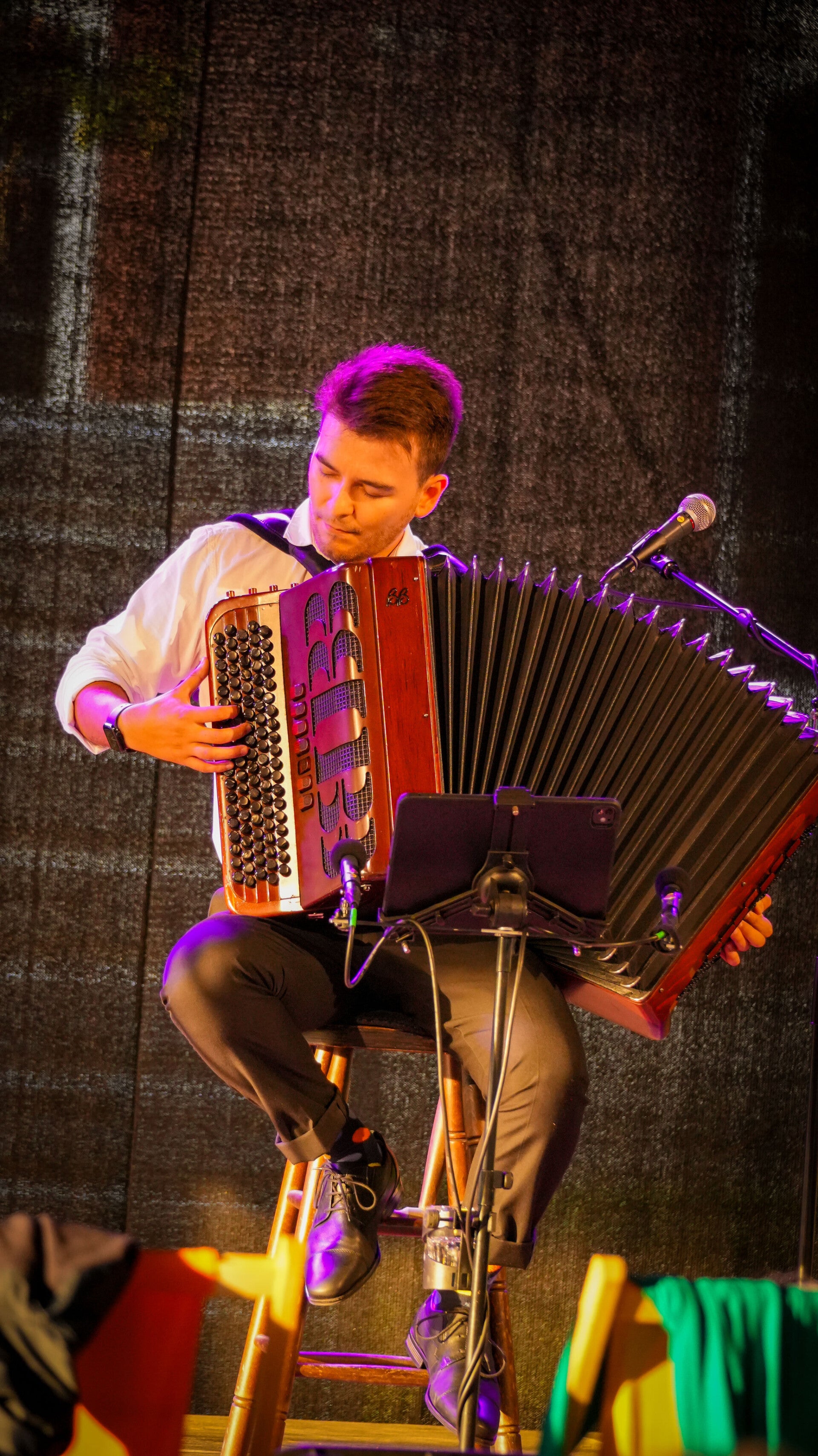 concerten, optredens, volle zalen, viool, top-accordeonist, accorden, duo, live music, proffesioneel, goed optreden, vioolles, workshops