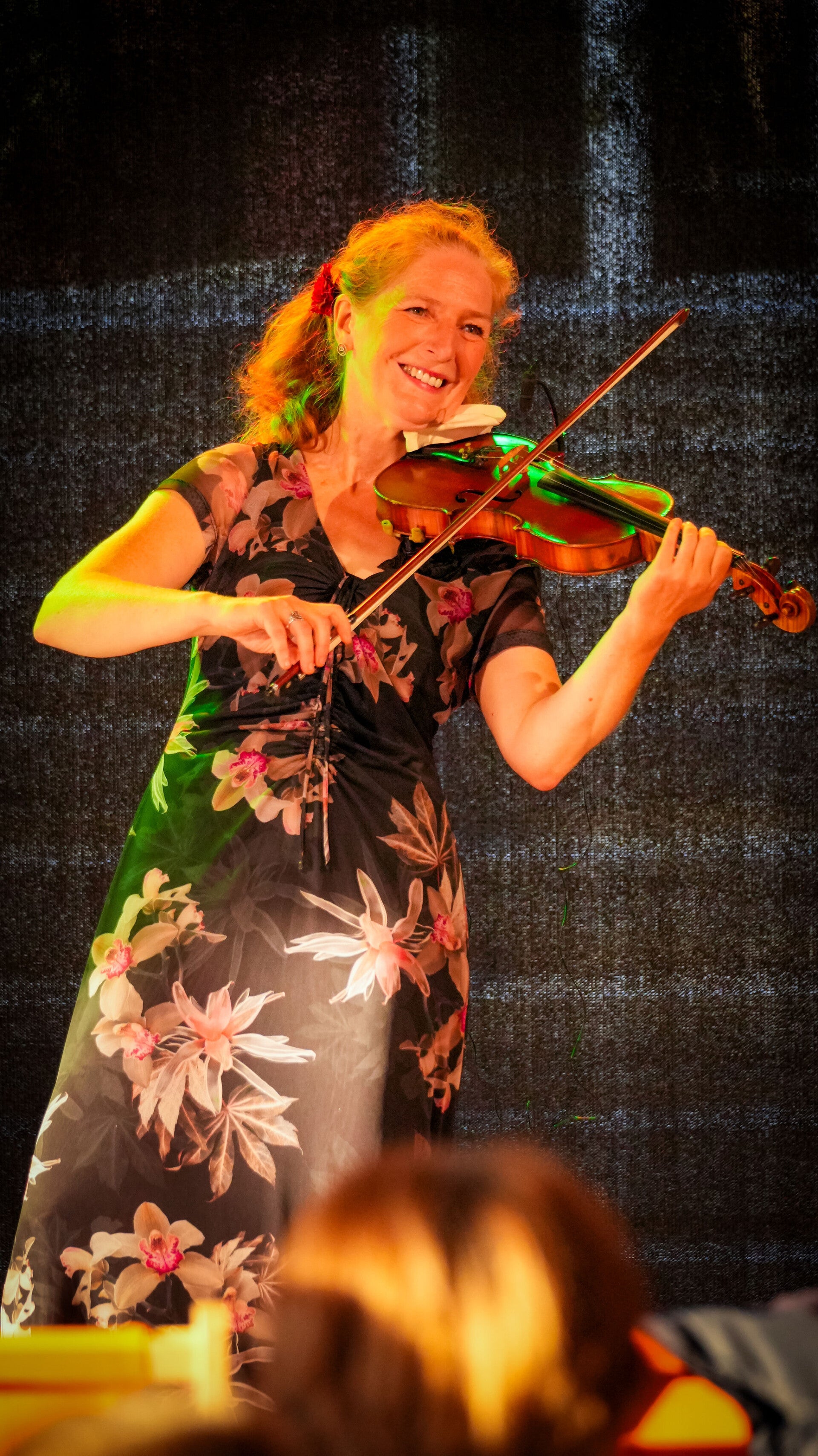 live music, violist, top-violist, optreden, concert, duo, klassiek, folk, accordeon