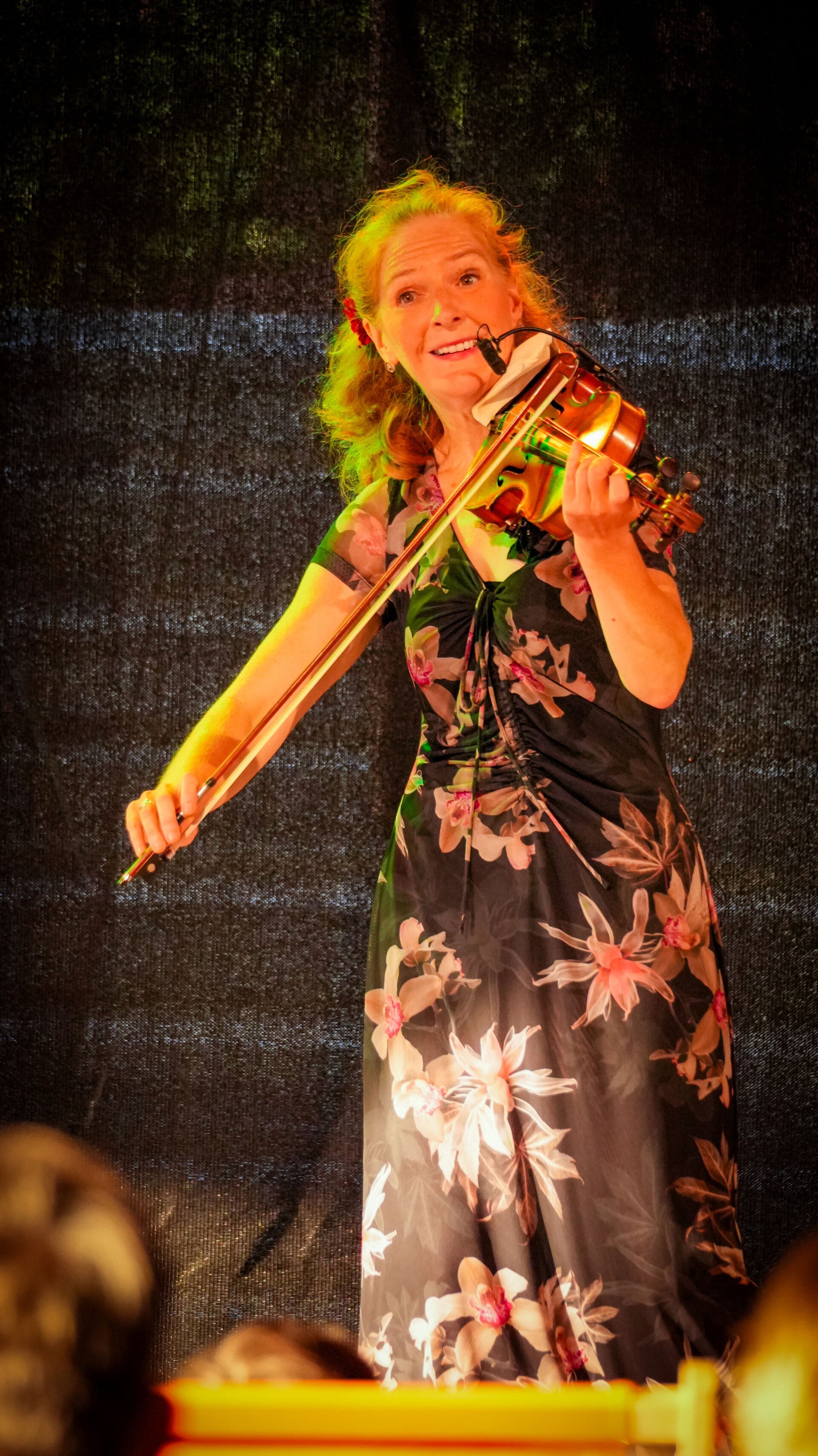 live music, violist, top-violist, optreden, concert, duo, klassiek, folk, accordeon