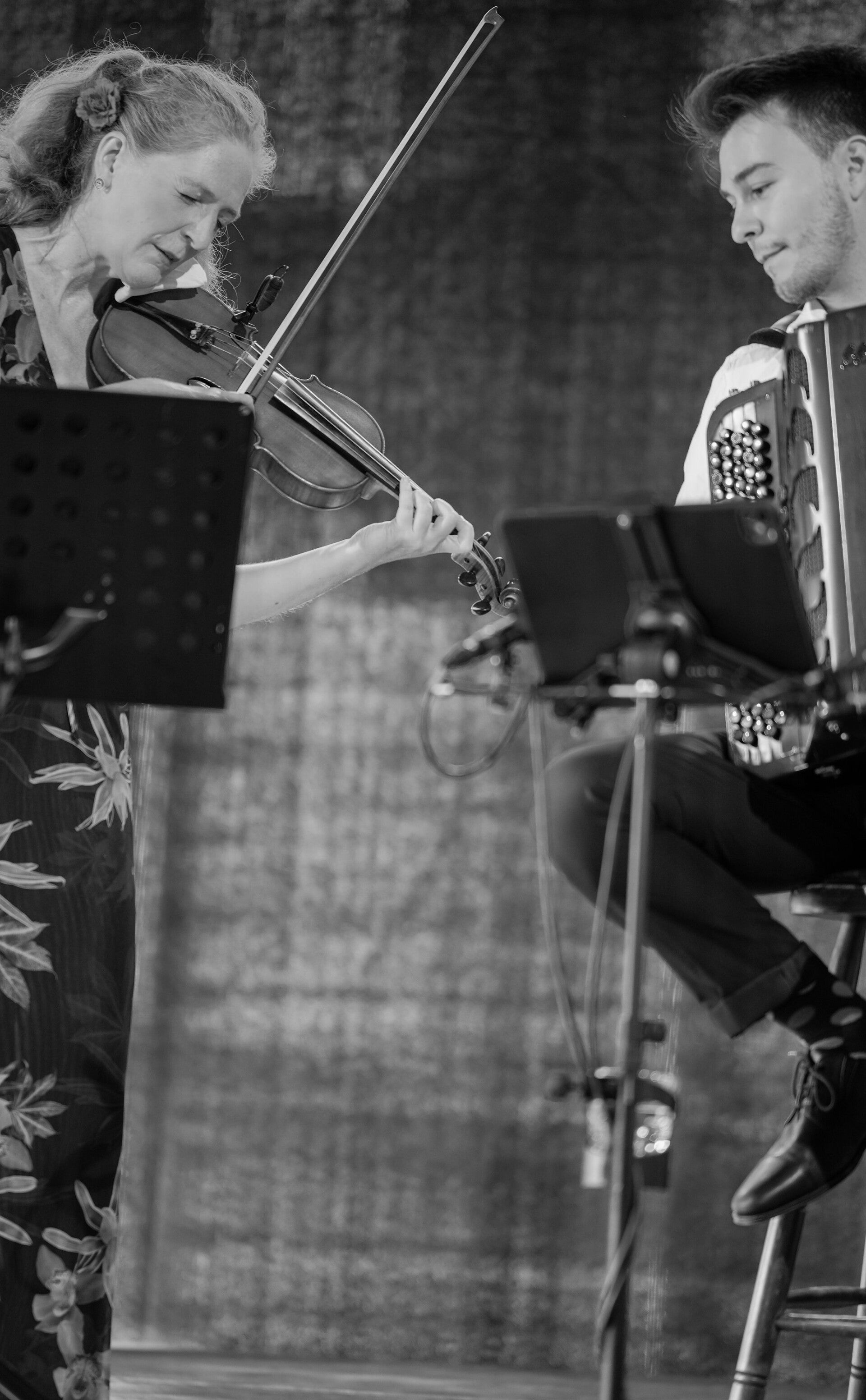 muzikaal duo, music, concert, live music, violin, accordeon, optreden, 