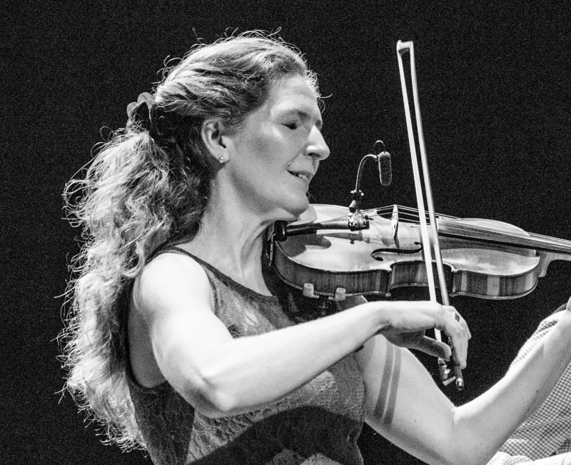 live music, violist, optreden, concert, duo, klassiek, folk, accordeon