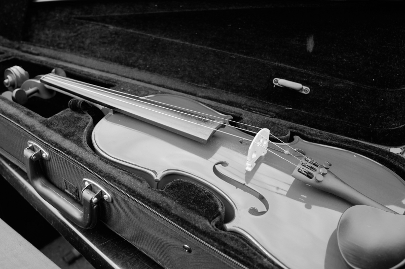 vioolles, te huur, viooltje, violiste,muziekles, live music, violist, top-violist, optreden, concert, duo, klassiek, folk, accordeon