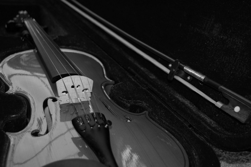 vioolles, op maat, te huur, viool, violiste,piano, painoles, creatief, pianiste, op maat,live music, violist, top-violist, optreden, concert, duo, klassiek, folk, accordeon