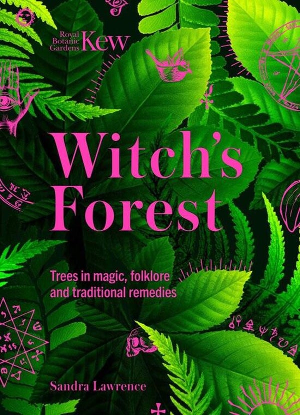 Witch's forest - Sandra Lawrence (Engels)*