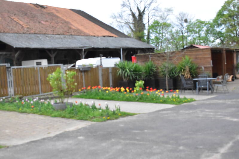 Parken direkt am Haus
