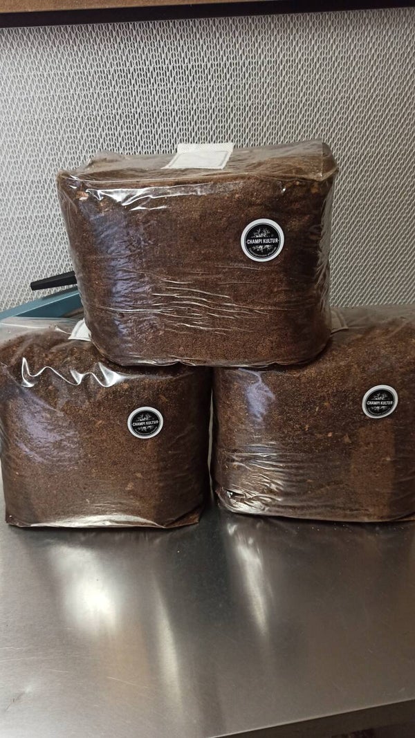 Substrat pasteurisé pour pleurote Bio