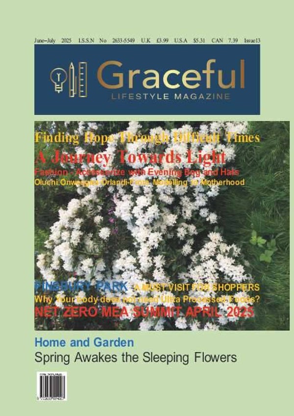 Graceful  Issue  13