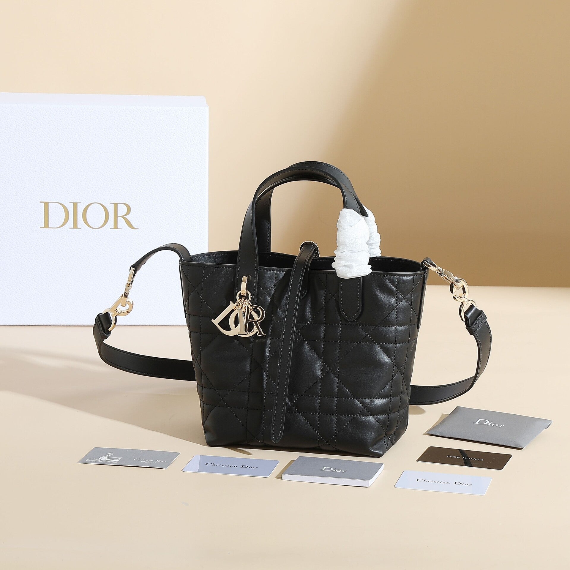 Small Dior Toujours Vertical Tote Bag