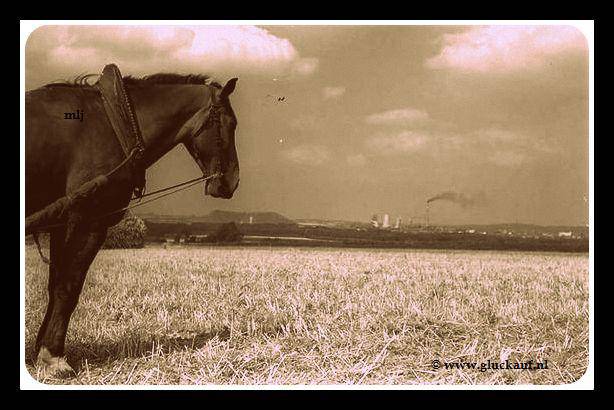 NIEUW! Foto uit 1952. ¢ Hermans-www.gluckauf.nl
