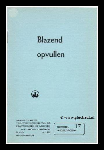 InstructeboekjeBlazendopvullen-1.jpg