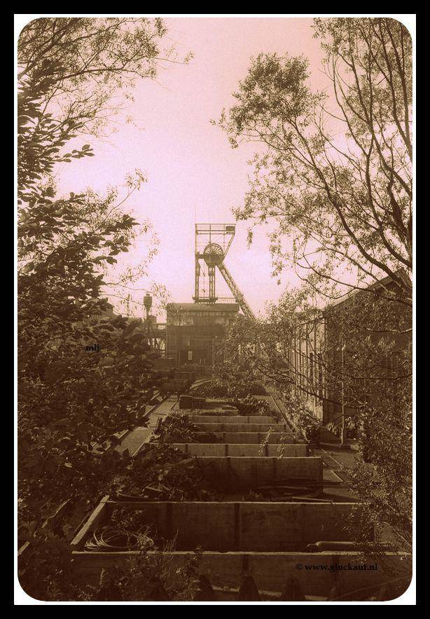 Schachtbok van O.N III Heerlerheide 1952. © N.Jesse./www.gluckauf.nl