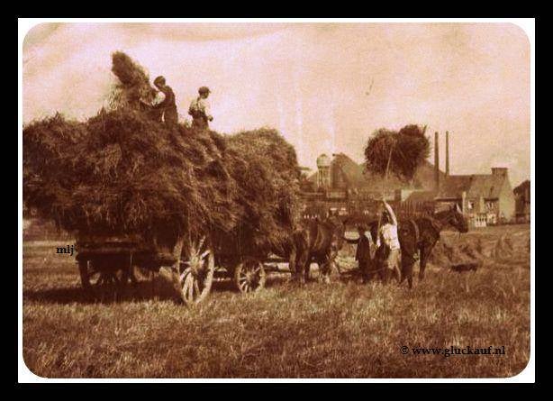 Stm.Wilhelmina op de achtergrond de steenberg.© www.gluckauf.nl