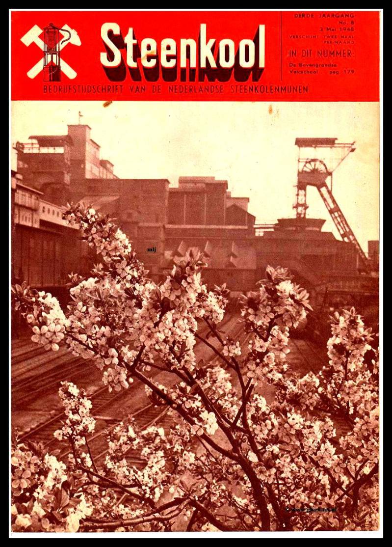Steenkool19488.jpg