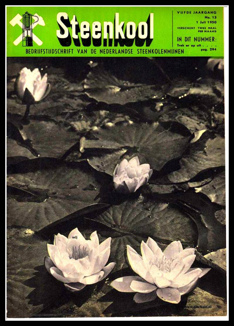 Steenkool195013.jpg