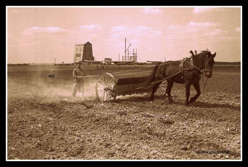 Aanleg Stm.Beatrix.© DSM