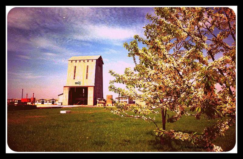 Staatsmijn Beatrix. © Dsm