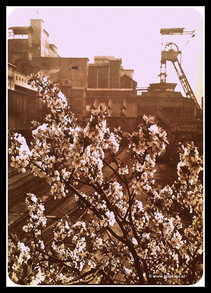 NIEUW! Stm.Emma uit 1946. © Cals/www.gluckauf.nl