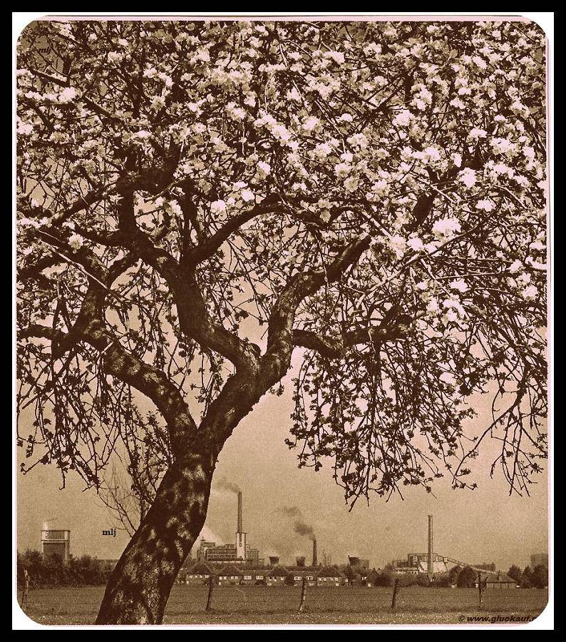 Mooie foto genomen in de lente van de voormalige Stm. Emma.© www.gluckauf.n