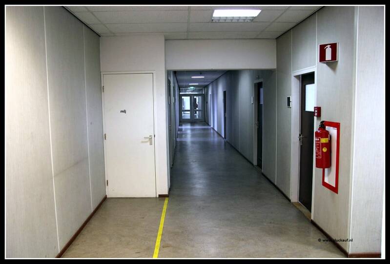 loonhalstmmaurits7.jpg