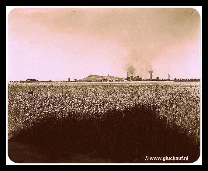 De enorme steenberg van de Stm. Maurits is hier goed vanuit de verte te zien inclusief de Stm. zelf. De foto is gemaakt in 1947. © Stm./www.gluckauf.nl