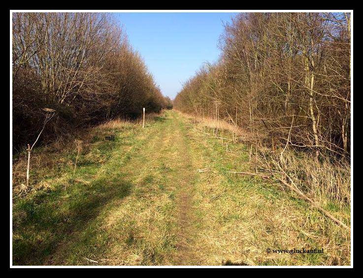 Voormalige mijnspoor richting Stm. Maurits. © www.gluckauf.nl