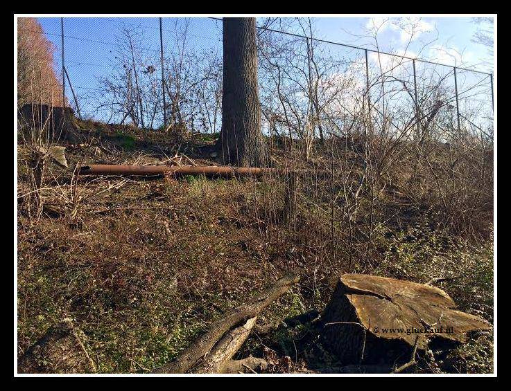 NIEUW! Buis waar eletrische kabels door hen liepen van Staatsmijn Maurits naar Schacht 4. Bij het mijnspoor. © www.gluckauf.nl