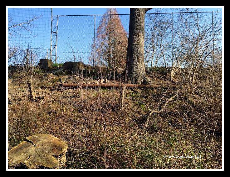 NIEUW! Buis waar eletrische kabels door hen liepen van Staatsmijn Maurits naar Schacht 4. Bij het mijnspoor. © www.gluckauf.nl